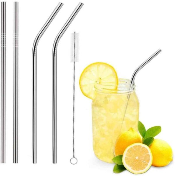 Stainless Steel Straw with Cleaning Brush