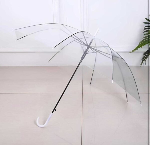 Lightweight Transparent Umbrella with C Handle for Easy Grip