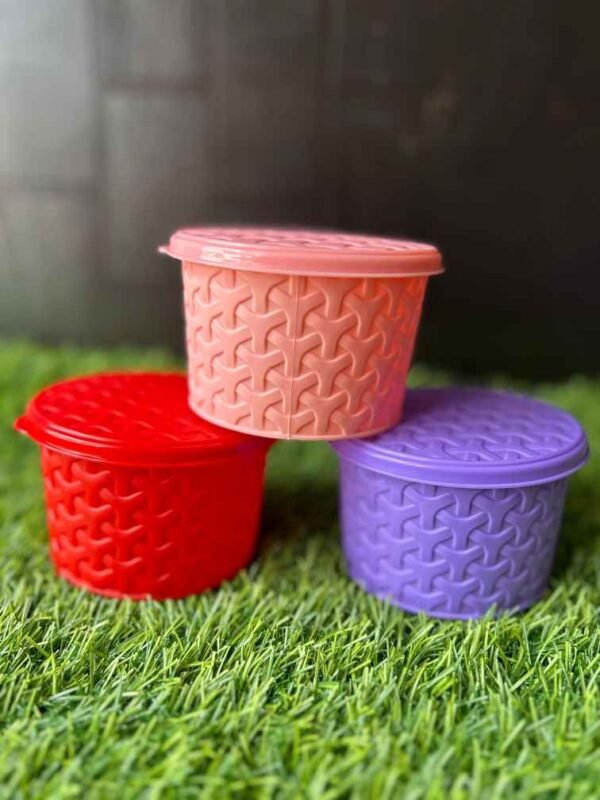 Small Size Container_Multicolor