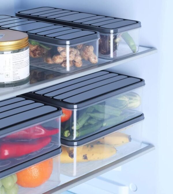 Fridge Storage Containers