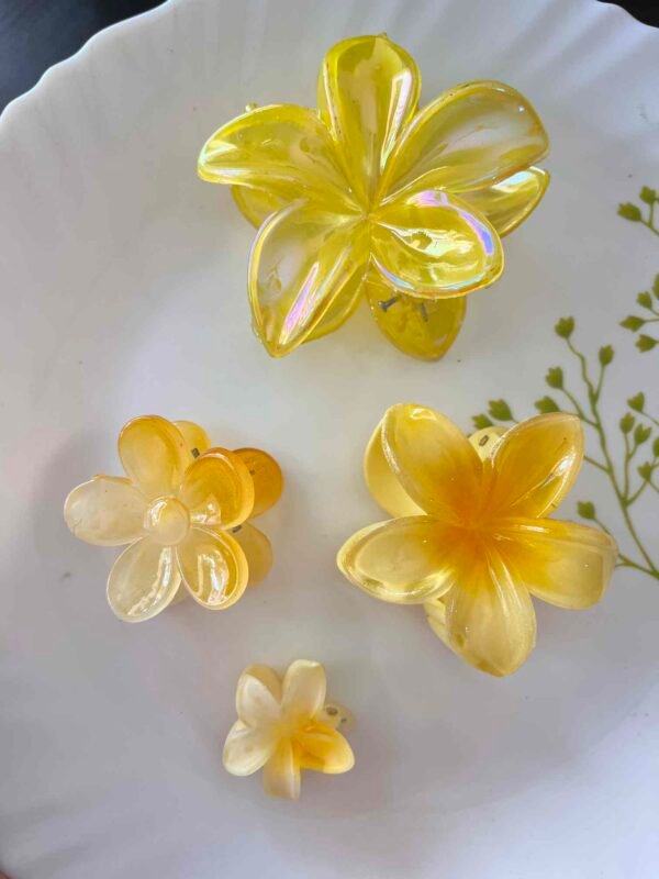 IMPORTED HAIR ACCESSORIES COMBO -4